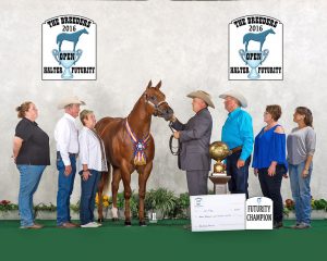 obviously-preplanned-2016-bhf-iowa-1-web